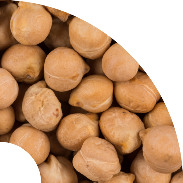 image of why alt proteins