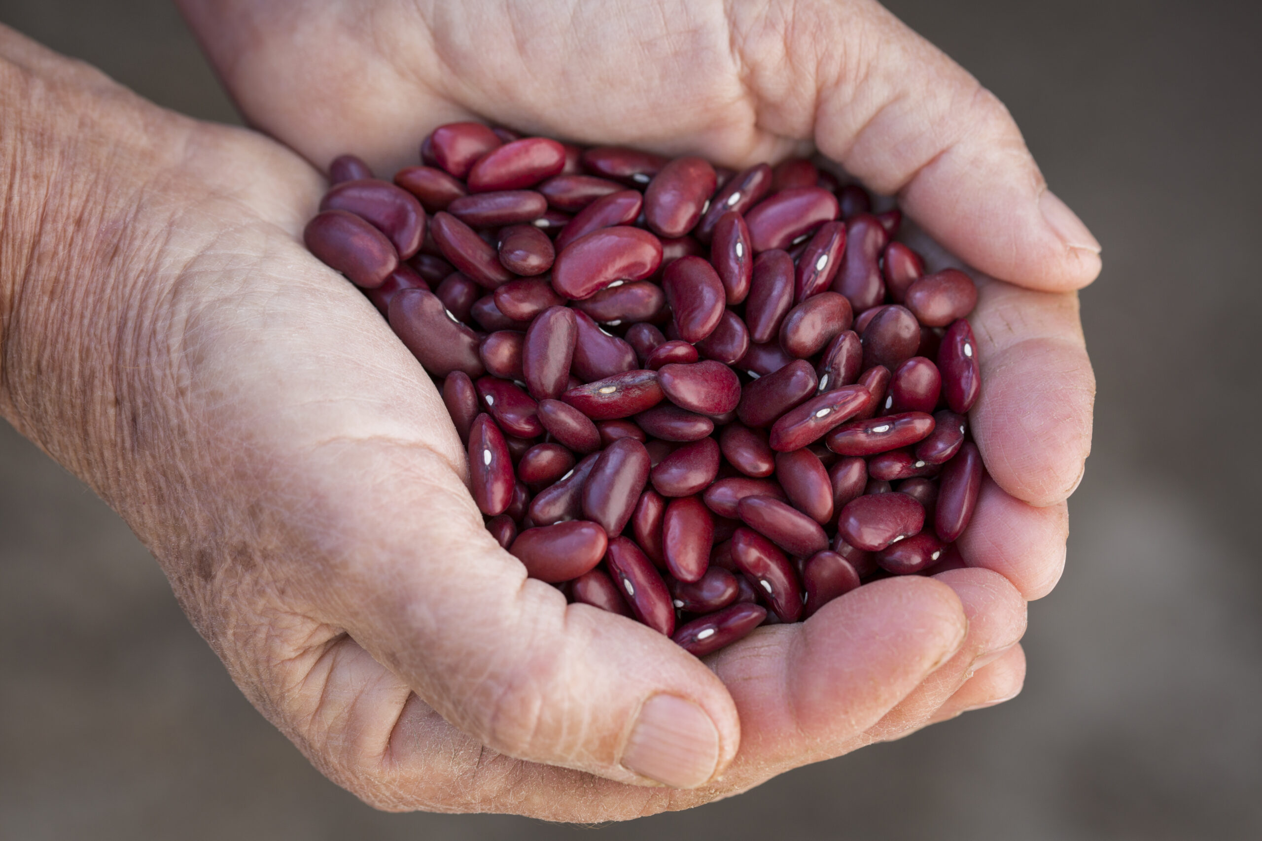 Farming and food industry bodies unite to focus on the future of protein