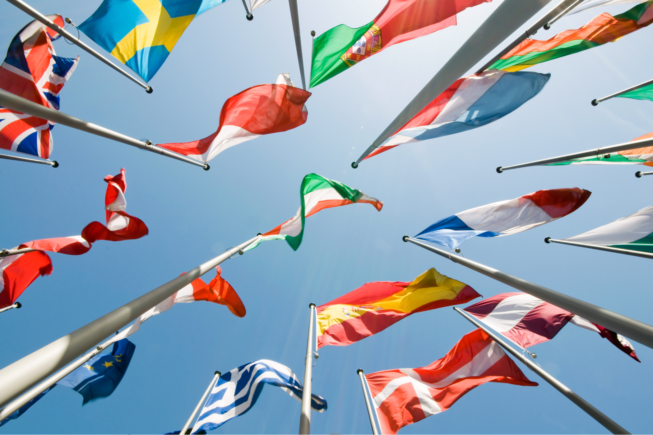 Global government support for alternative proteins an opportunity for Australia