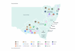 Plant protein crops produced in NSW from NSW Government prospectus